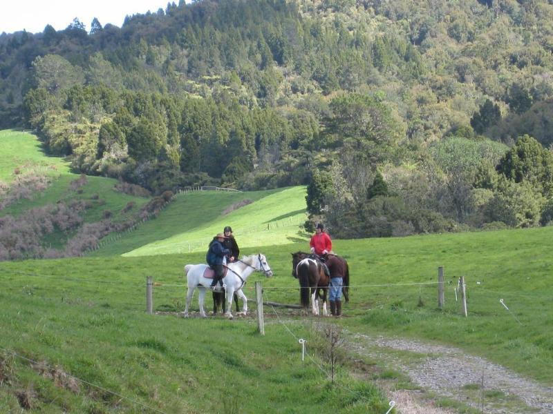 Kaimai Country Lodge Katikati Extérieur photo